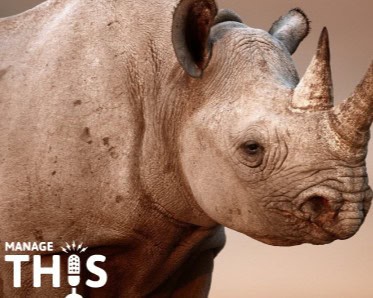 Episode 86 – Saving Rhinos with Connected Conservation