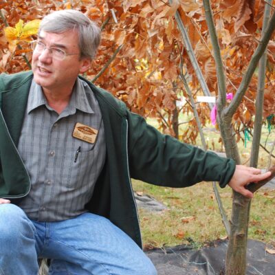 Episode 93 – The American Chestnut Tree Project