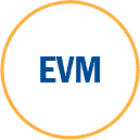 Earned Value Management 