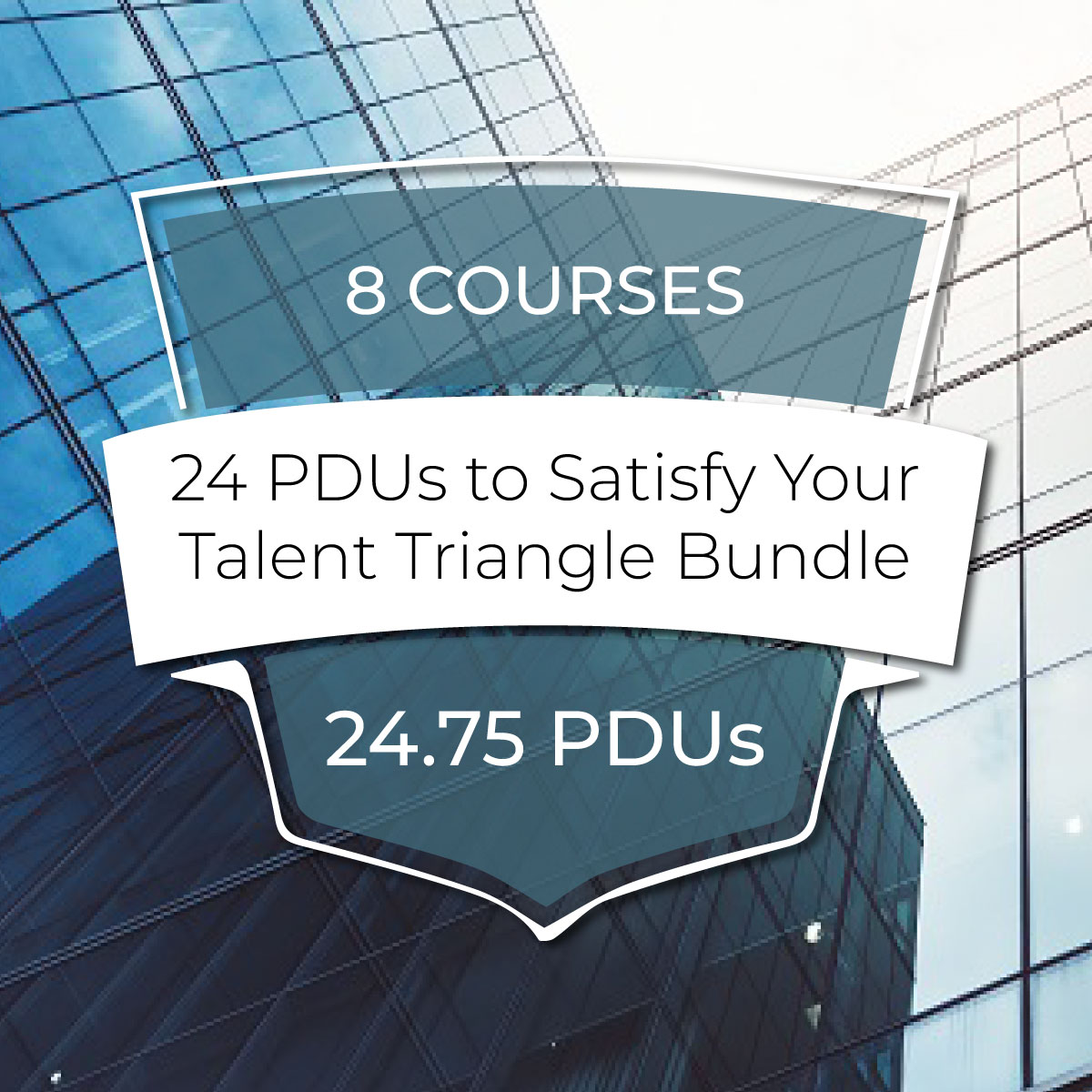 24 PDUs to Satisfy Your Talent Triangle Bundle