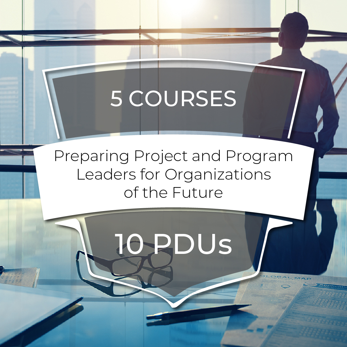 Preparing Project and Program Leaders for Organizations of the Future - Bundle