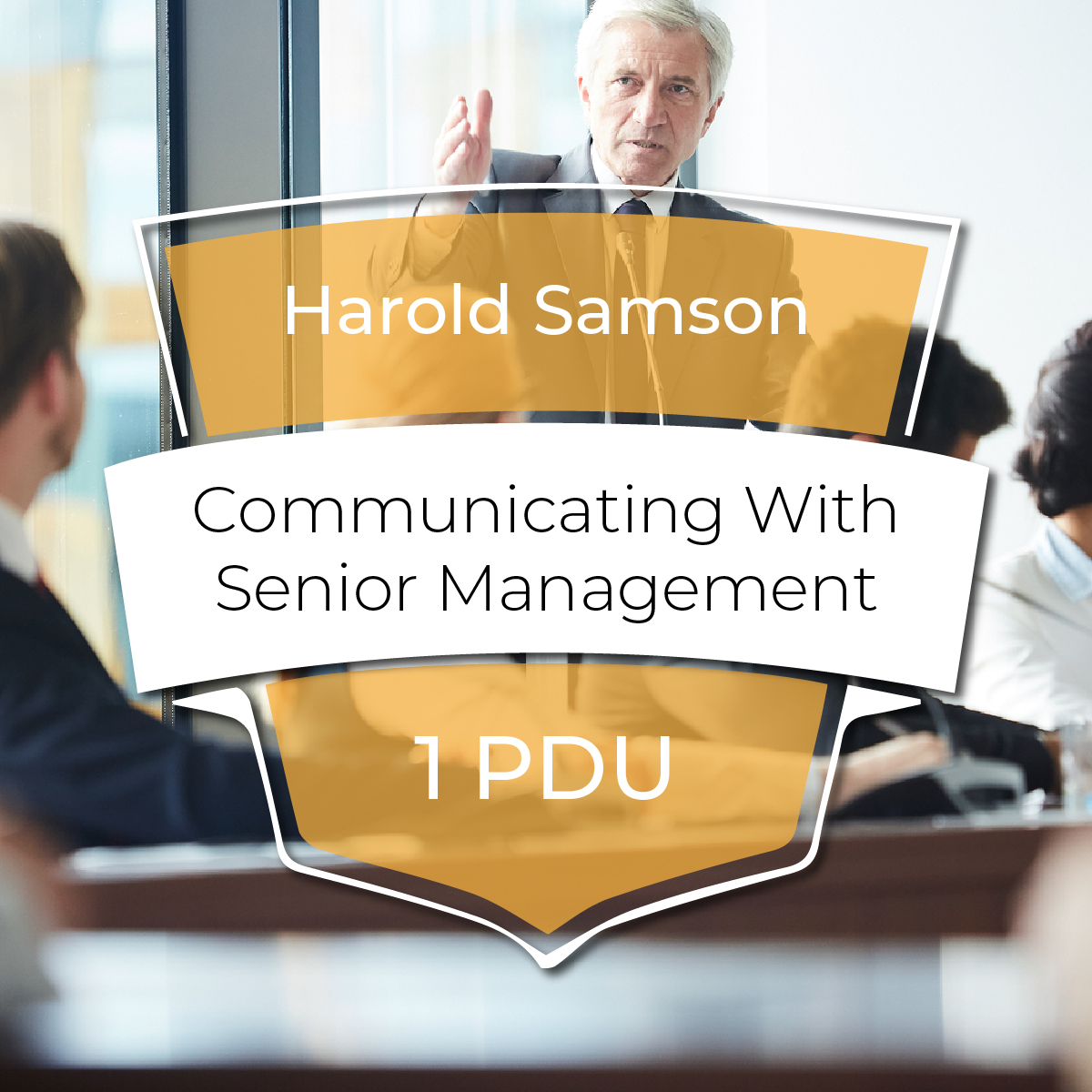 Communicating with Senior Management