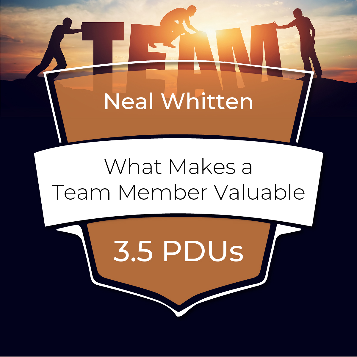 What Makes a Team Member Valuable?