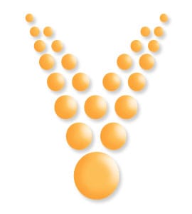 Velociteach Announces Premier of Live PMI-ACP℠ Certification Prep Classes in 14 Cities Across the U.S.