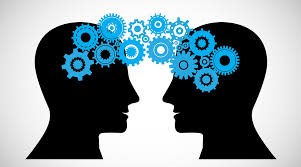 Knowledge Management
