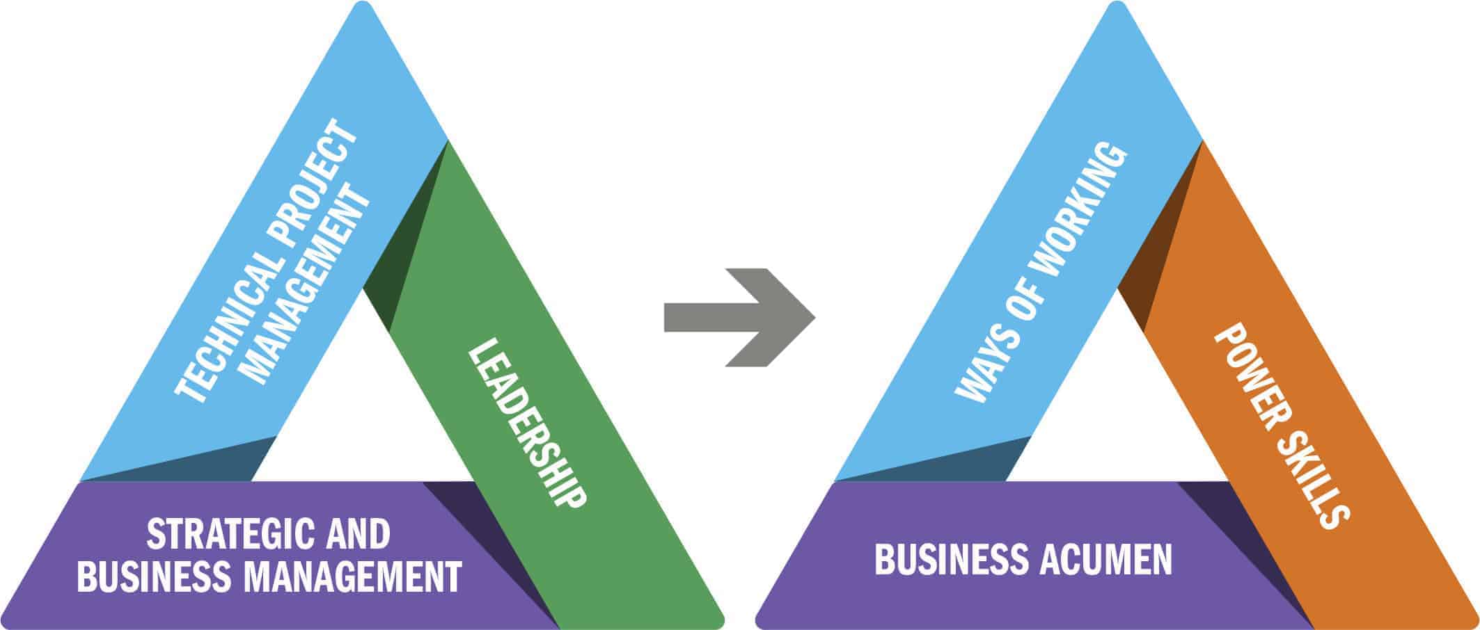 The PMI Talent Triangle is Changing